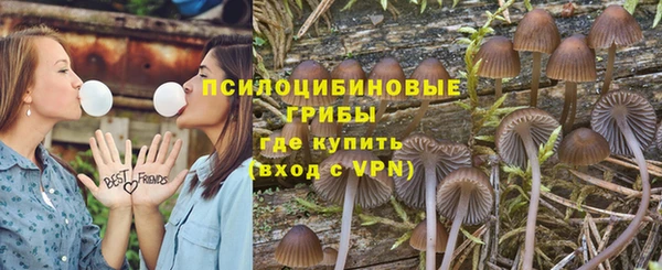 винт Алагир