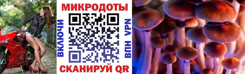 Галлюциногенные грибы Cubensis цена наркотик Усинск