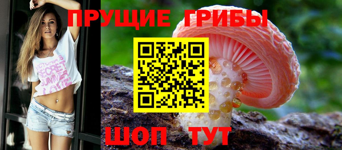 Усинск  Псилоцибиновые грибы мицелий  Вход с VPN  Галлюциногенные грибы прущие грибы 